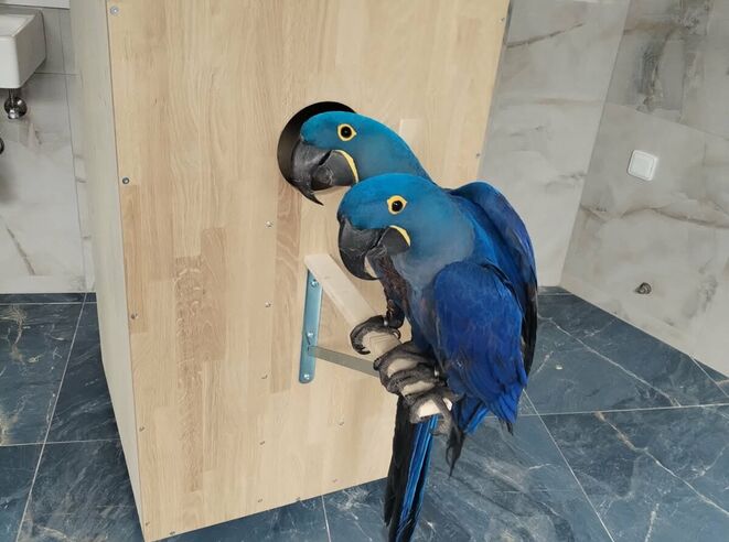 Krmítko pro papoušky